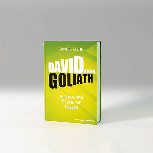 Günter Faltin: David gegen Goliath 