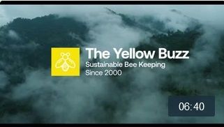 the yellow buzz  Video Vorschaubild